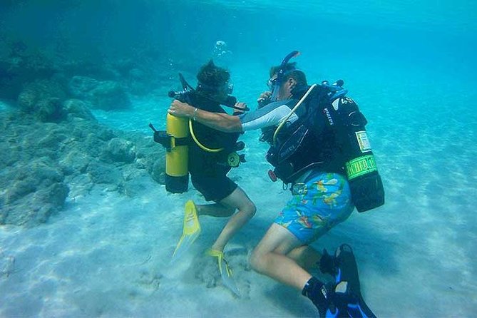 Excursie de o zi de scufundări în Hurghada – 7 ore